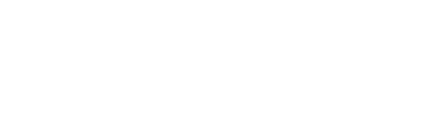 Logo BTV